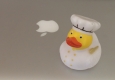 Küchen-Ente © Alexander Khaelss-Khaelssberg