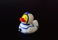 Space Ente © (leisure)