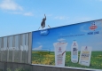 Schärdinger lässt Elefanten auf EPAMEDIA-Plakaten fliegen © EPAMEDIA
