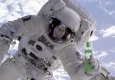 DR.OWL REGENERAID_NASA © (DR.OWL NutriHealth)