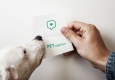 Teilen leicht gemacht: Neue Plattform PETtogether bringt Haustierbesitzer und Tierliebhaber zusammen © Lumikki Photography/Johanna Bauer