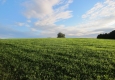 Landschaftsaufnahme Salzburg © Alexander Khaelss-Khaelssberg