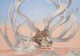 Georgia O’Keeffe, From the Faraway, Nearby, 1937, The Metropolitan Museum of Art, New York © 2016 Georgia O’Keeffe Museum/Bildrecht, Wien Foto: © BKP/The Metropolitan Museum of Art/Malcolm Varon