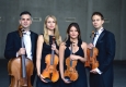 Auner Quartett im Bank Austria Salon © Auner Quartett