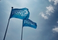 Cannes Lions Fahnen © Cannes Lions International Festival of Creativity