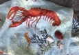 Lobster © Avenida Home