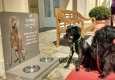 EDWIN HUNDETANKSTELLE © EDWIN HUNDETANKSTELLE