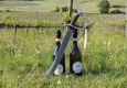 Frizzante Pignoletto im Civediamo Wine Trade © echonet.at