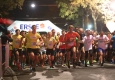 erste bank vienna night run © Ludwig Schedl