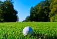 Golfball am Fairway © unsplash.com/Ludwig Schreier