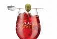Kattus-Borco bringt mit Select Aperitivo die italienische Legende in die heimische Gastronomie © Select Aperitivo