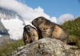 ORF Universum: Die Kraft des Wassers © ORF Universum/ScienceVision/Rita Schlamberger