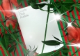 Creativ Club Austria Jahrbuch 2019 © seite zwei - branding & design