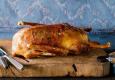 Martini-Gansl-Special bei Falstaff © Shutterstock