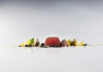 Gericht von Heiko Nieder im The Dolder Grand © The Dolder Grand