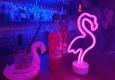 Trojka Flamingo © Trojka Vodka