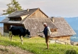Falstaff TV produziert "Landleben" für ORF III © Falstaff TV/Christian Papke