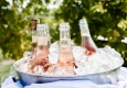 Herbst-Genuss mit KATTUS Organic Rosé © KATTUS/Katharina Khoss