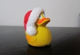 Weihnachtsente © Alexander Khaelss-Khaelssberg