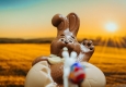 Schokolade Osterhase © unsplash.com/Daniel K. Cheung