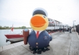 Admiral Duck © DDSG Blue Danube/Mila Zytka