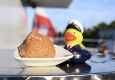 Admiral Duck liebt Eismarillenknödel an Bord der DDSG Blue Danube © Christian Jobst