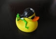 Piraten Ente © Alexander Khaelss-Khaelssberg