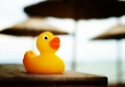 Gummiente auf Urlaub © flickr.com