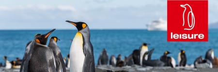 Header Facebook 2023 Penguin © unsplash.com