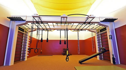 Queenax Bridge/Functional Zone © Manhattan Fitness