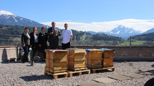 Bienenzuwachs Hilton Innsbruck © (Hilton Innsbruck)