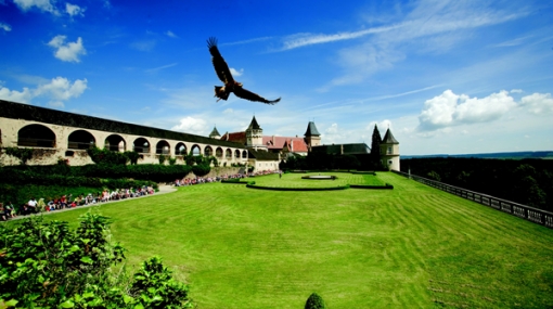 Falknerei auf der Rosenburg © Joseph Gasteiger-Rabenstein