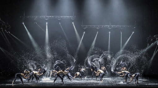 Alexander Ekman - A Swan Lake © (Arthaus Filmvertrieb)