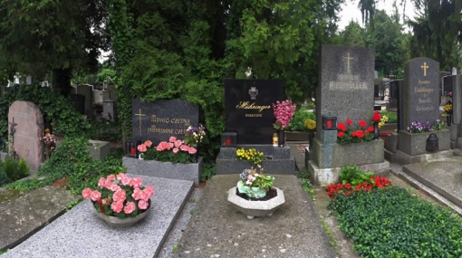 Friedhof © POPUP Media