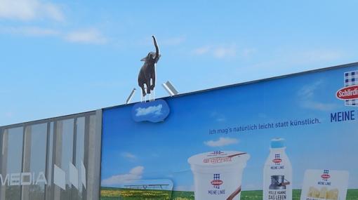 Schärdinger lässt Elefanten auf EPAMEDIA-Plakaten fliegen © EPAMEDIA
