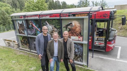 Martin Baltes (Innsrucker Verkehrsbetriebe), Michael Martys (Alpenzoo Innsbruck) und Thomas Frauenschuh präsentieren die neue Wartehalle vor dem Alpenzoo Innsbruck © EPAMEDIA