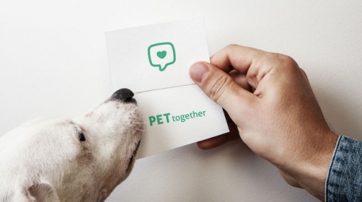 Teilen leicht gemacht: Neue Plattform PETtogether bringt Haustierbesitzer und Tierliebhaber zusammen © Lumikki Photography/Johanna Bauer