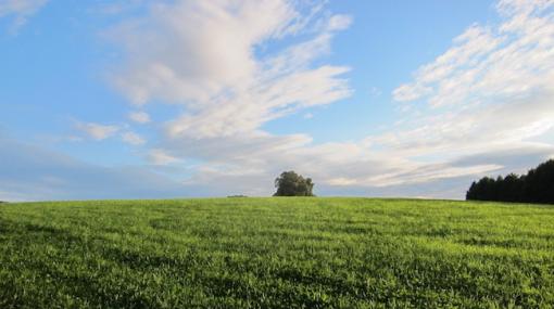 Landschaftsaufnahme Salzburg © Alexander Khaelss-Khaelssberg