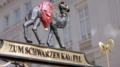 Lebensraum: Graben und Kohlmarkt © ORF III/D5 Productions