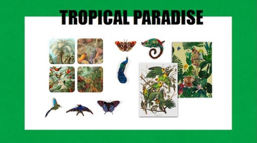 Tropical Paradise © Auf der Seil/diverse