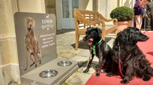 EDWIN HUNDETANKSTELLE © EDWIN HUNDETANKSTELLE