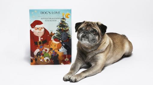 DOG'S LOVE präsentiert den Adventskalender für Hunde © DOG'S LOVE