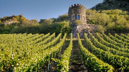 Weingut Hermann Dönnhoff © Weingut Hermann Dönnhoff