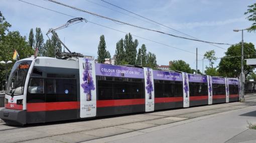 Straßenbahn im KATTUS-Colour-Collection-Branding © KATTUS