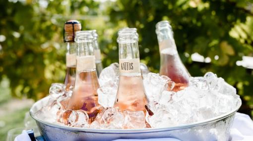 Herbst-Genuss mit KATTUS Organic Rosé © KATTUS/Katharina Khoss