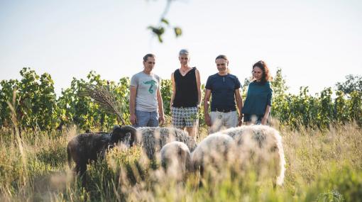 Weingut Ernst Triebaumer © Stefan Mang