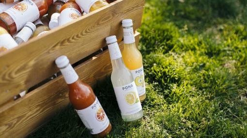 Pona in der Wiese © Lukas Laurenz