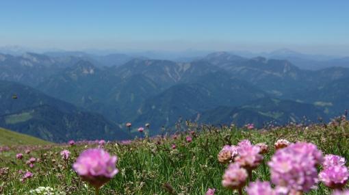 Schneeberg © unsplash.com/Quentin Schulz