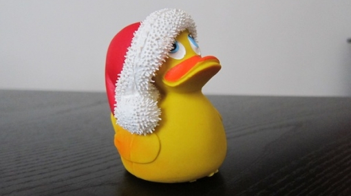 Weihnachtsente © Alexander Khaelss-Khaelssberg