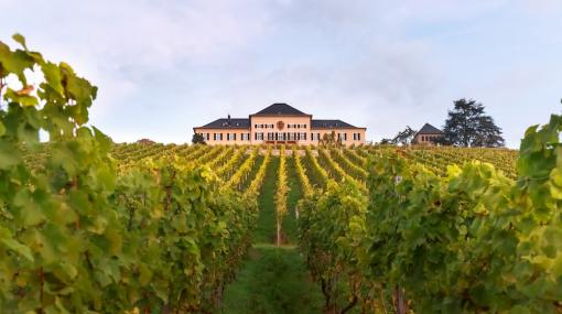 Schloß Johannisberg © zVg